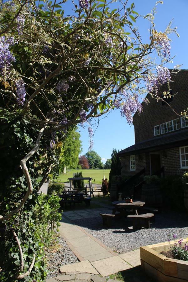 The Red Lion & Cellar Room, Betchworth Buitenkant foto